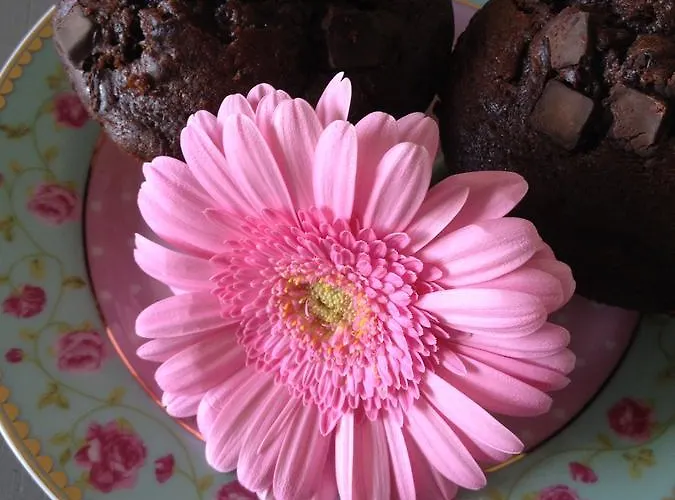 Bed & Breakfast Het Postenhofje 3*