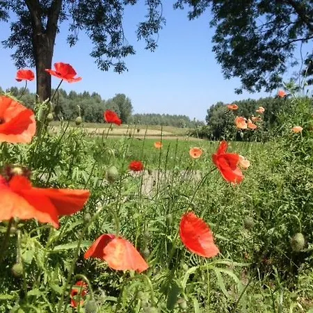 Het Postenhofje Couette-café Puiflijk