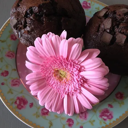 Couette-café Het Postenhofje 3*